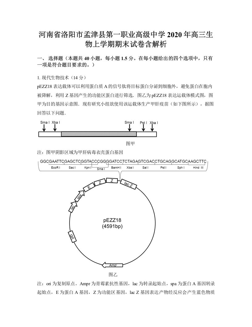 河南省洛阳市孟津县第一职业高级中学2020年高三生物上学期期末试卷含解析