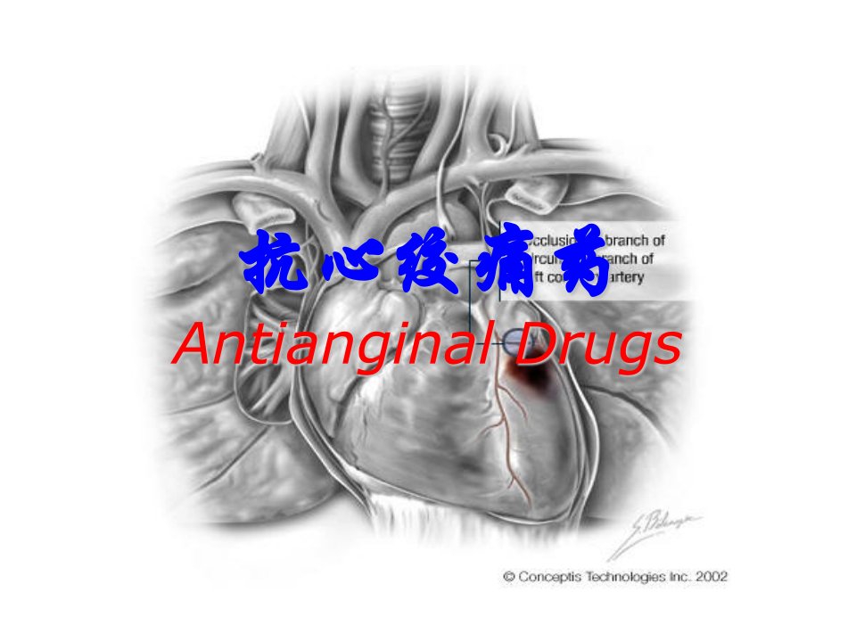 医疗行业-抗心绞痛药