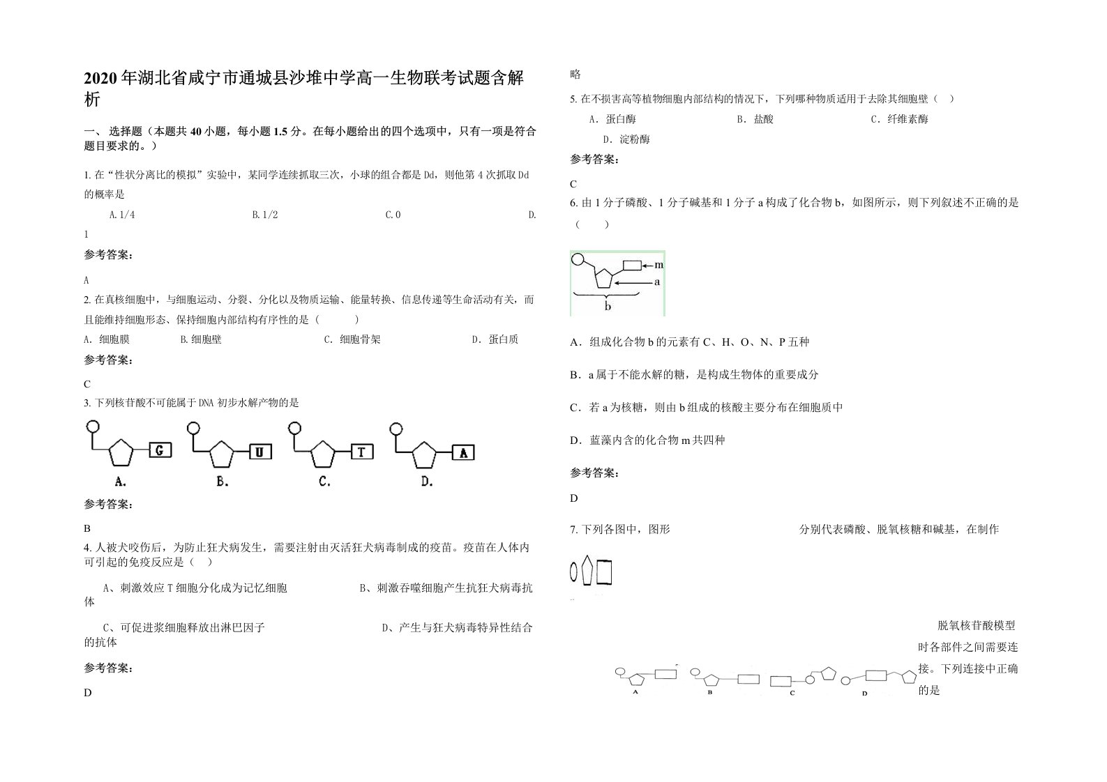 2020年湖北省咸宁市通城县沙堆中学高一生物联考试题含解析