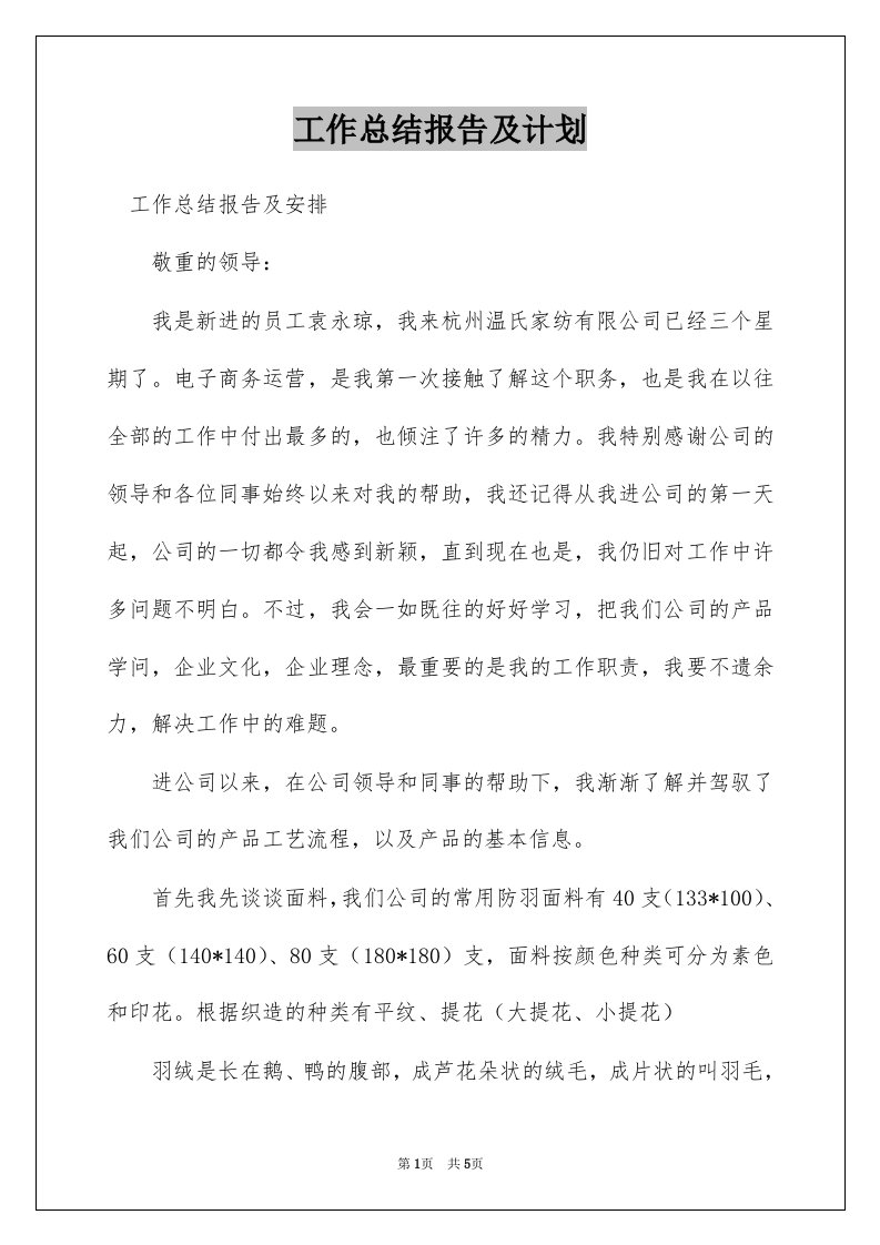 工作总结报告及计划