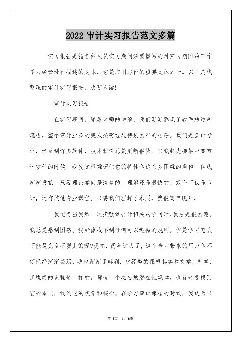 2022审计实习报告范文多篇