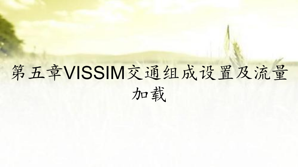 第五章vissim交通组成设置及流量加载