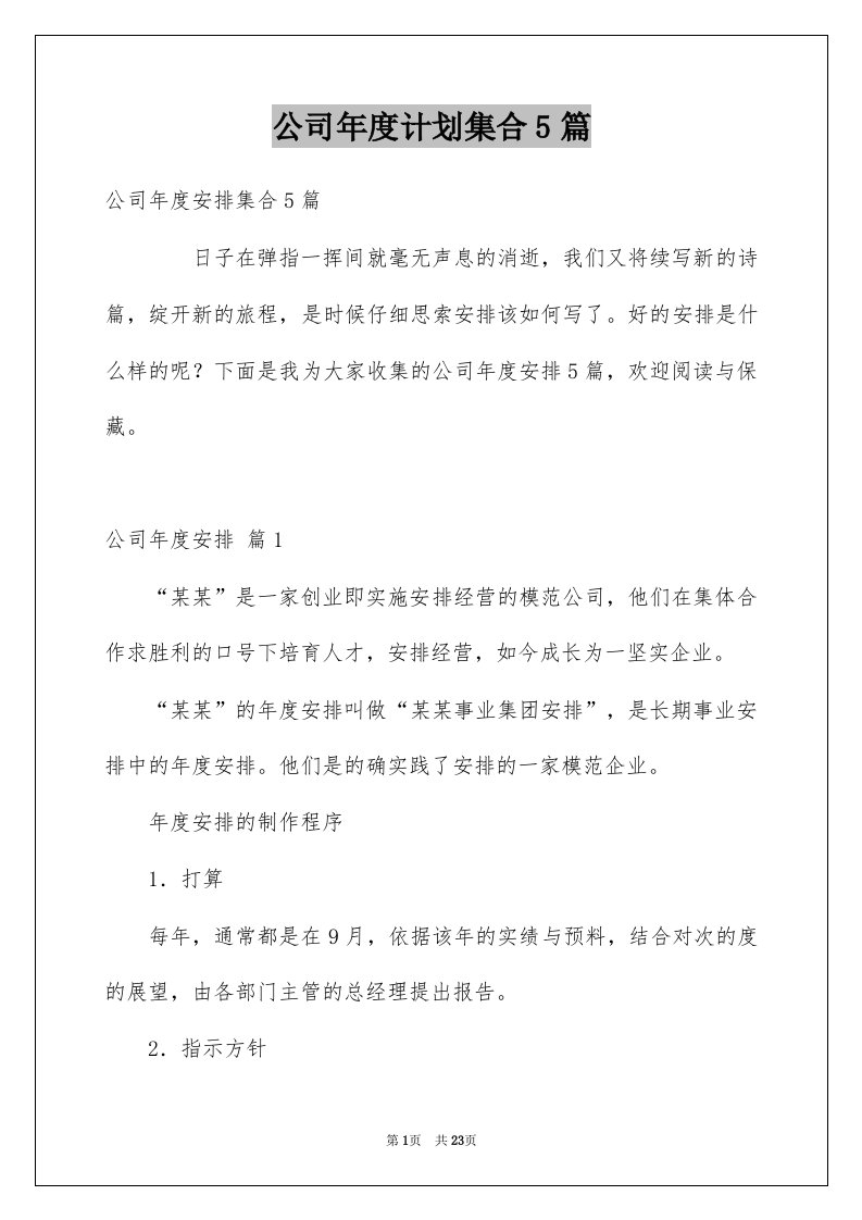 公司年度计划集合5篇例文