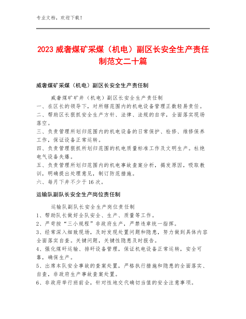 2023威奢煤矿采煤（机电）副区长安全生产责任制范文二十篇