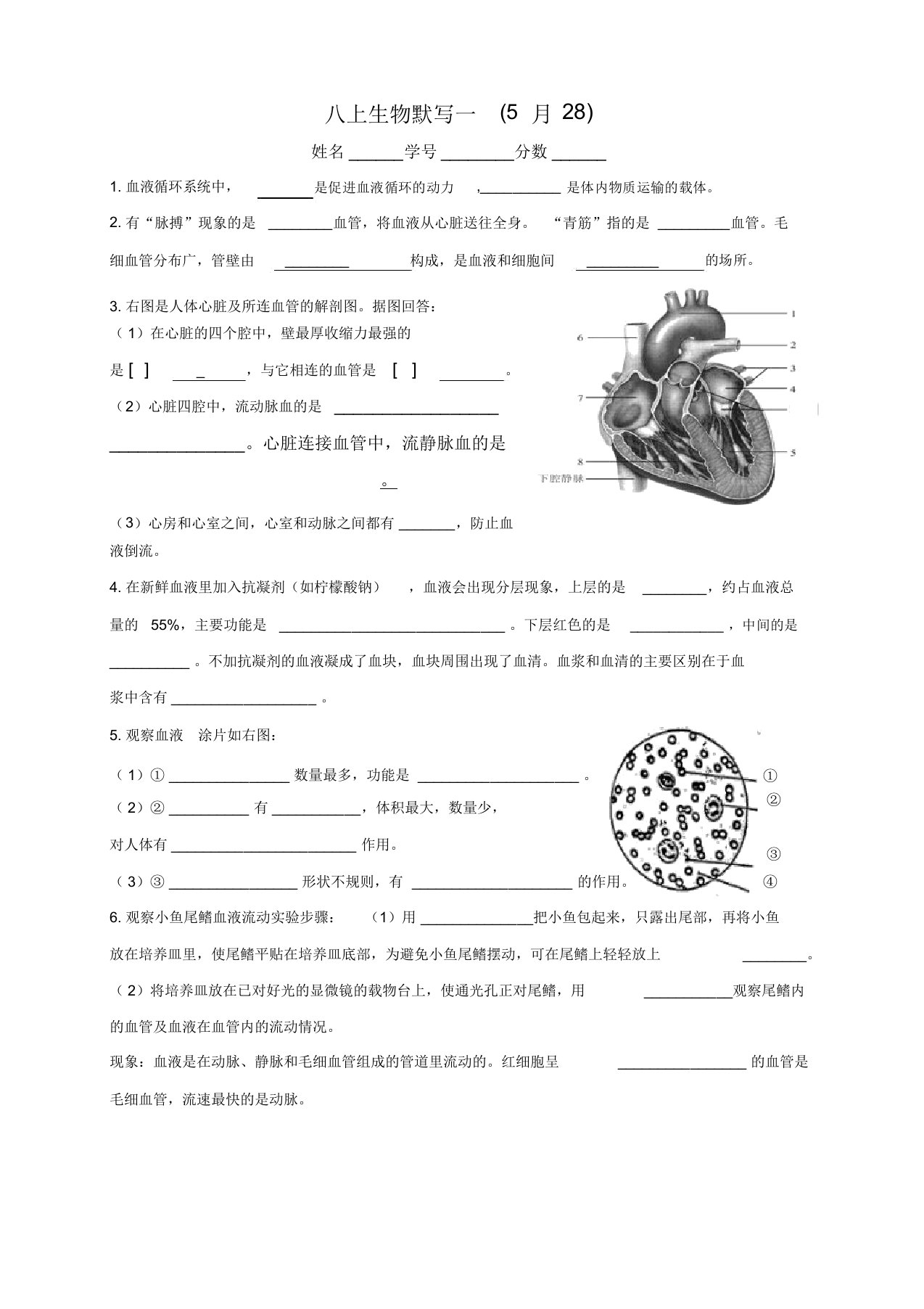 七年级上生物填空题五附答案