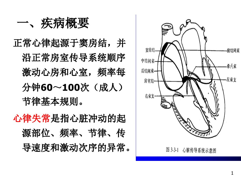 内科护理学心律失常ppt课件