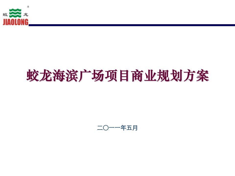 蛟龙港海滨广场项目商业规划方案