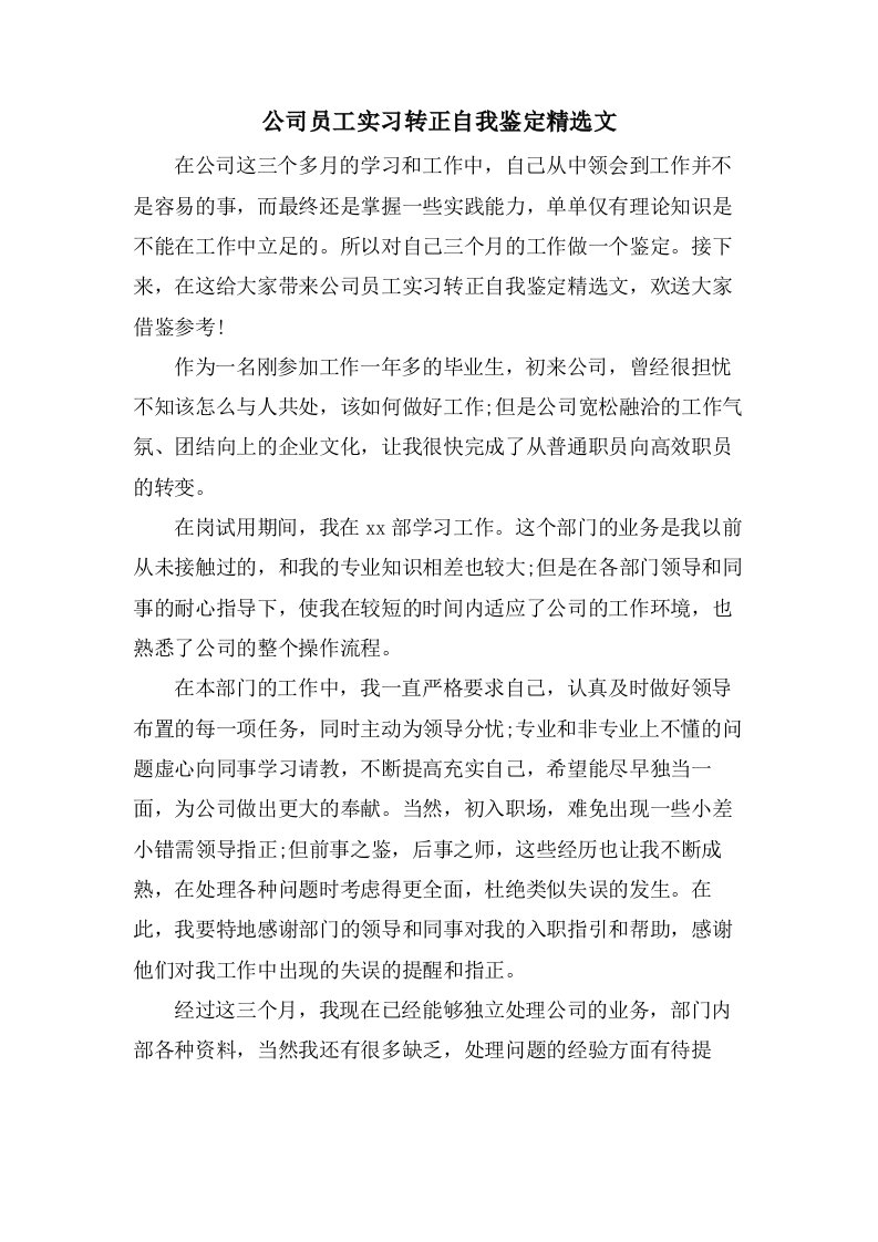 公司员工实习转正自我鉴定文