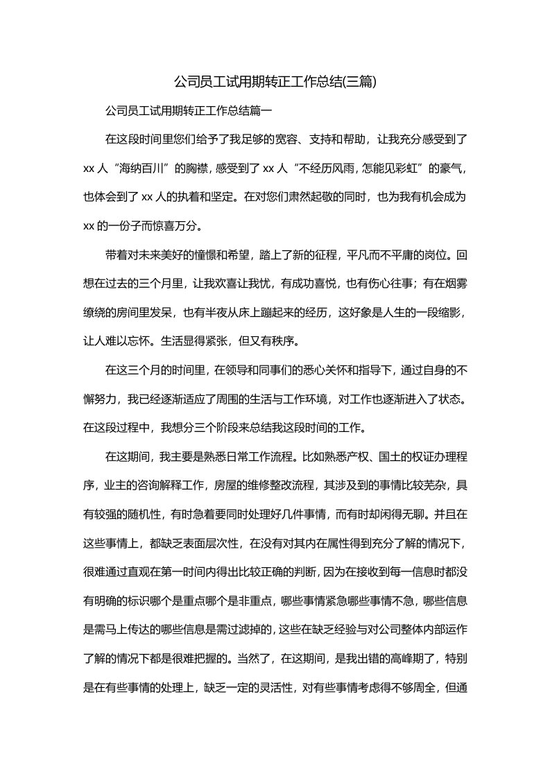 公司员工试用期转正工作总结三篇