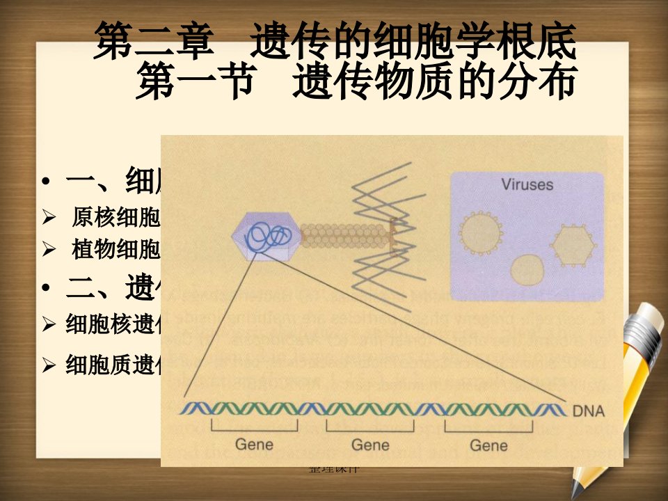 《遗传的细胞学基础》