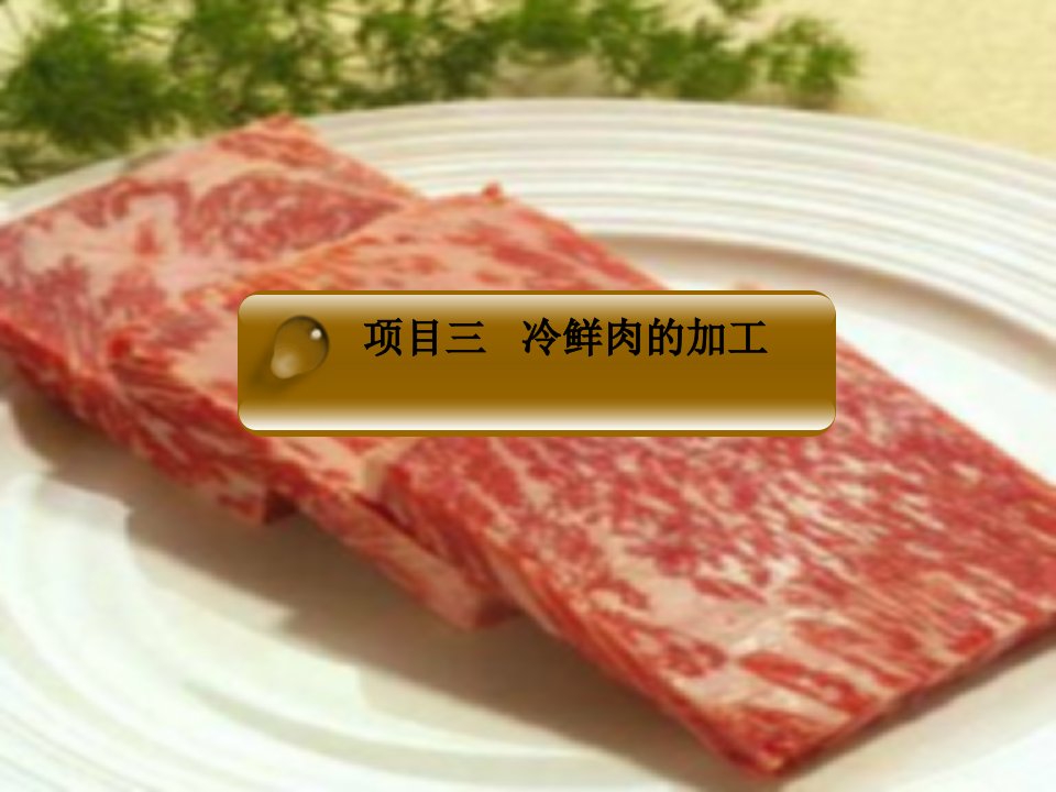 冷鲜肉加工技术课件