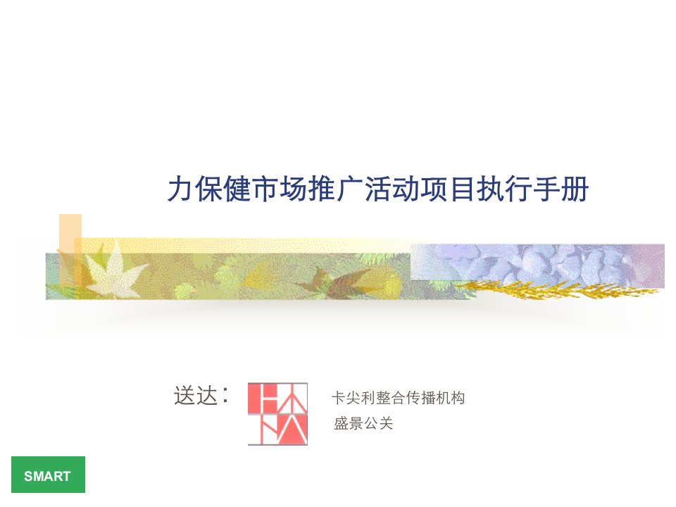 力保健市场推广活动项目手册