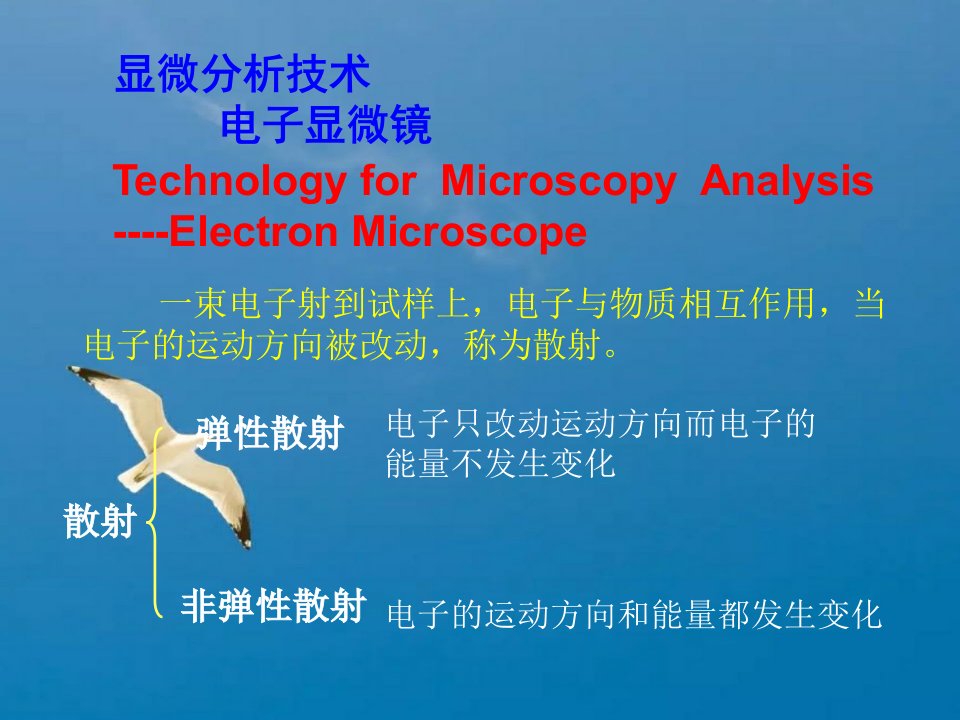 显微分析技术电子显微镜1ppt课件