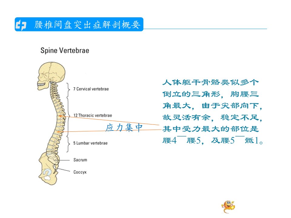 腰椎间盘突出的护理查房