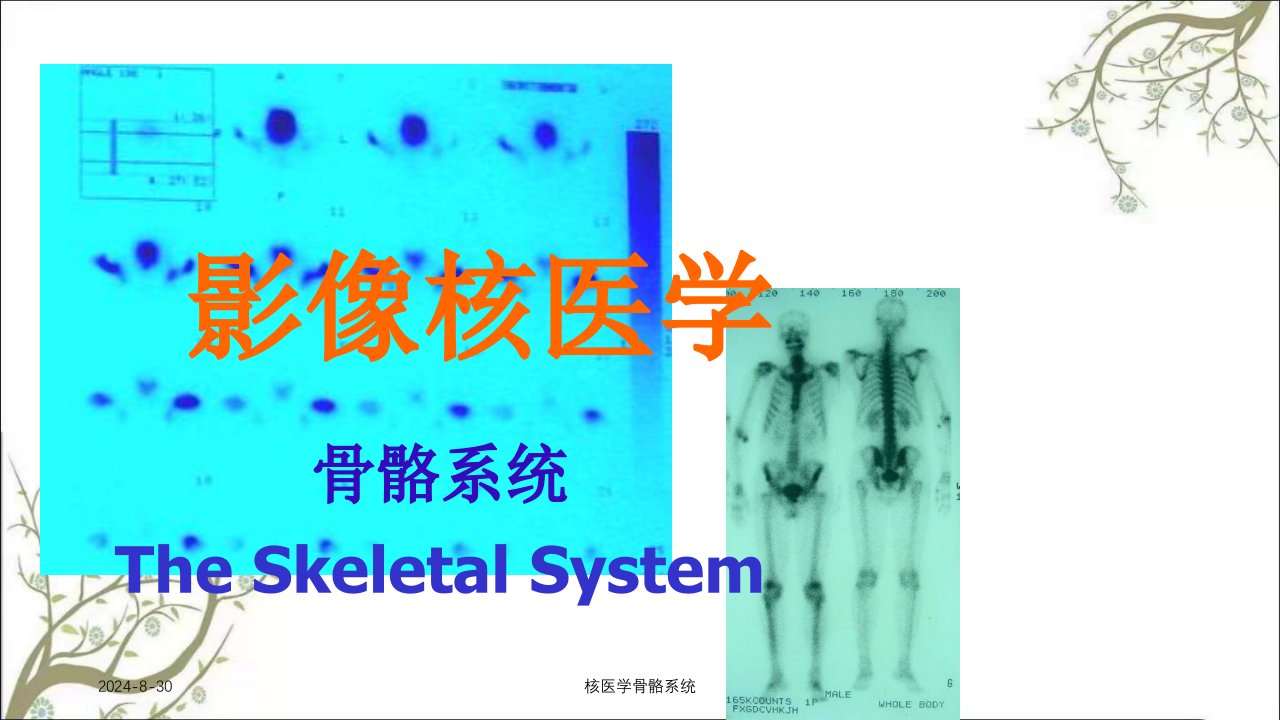 核医学骨骼系统课件