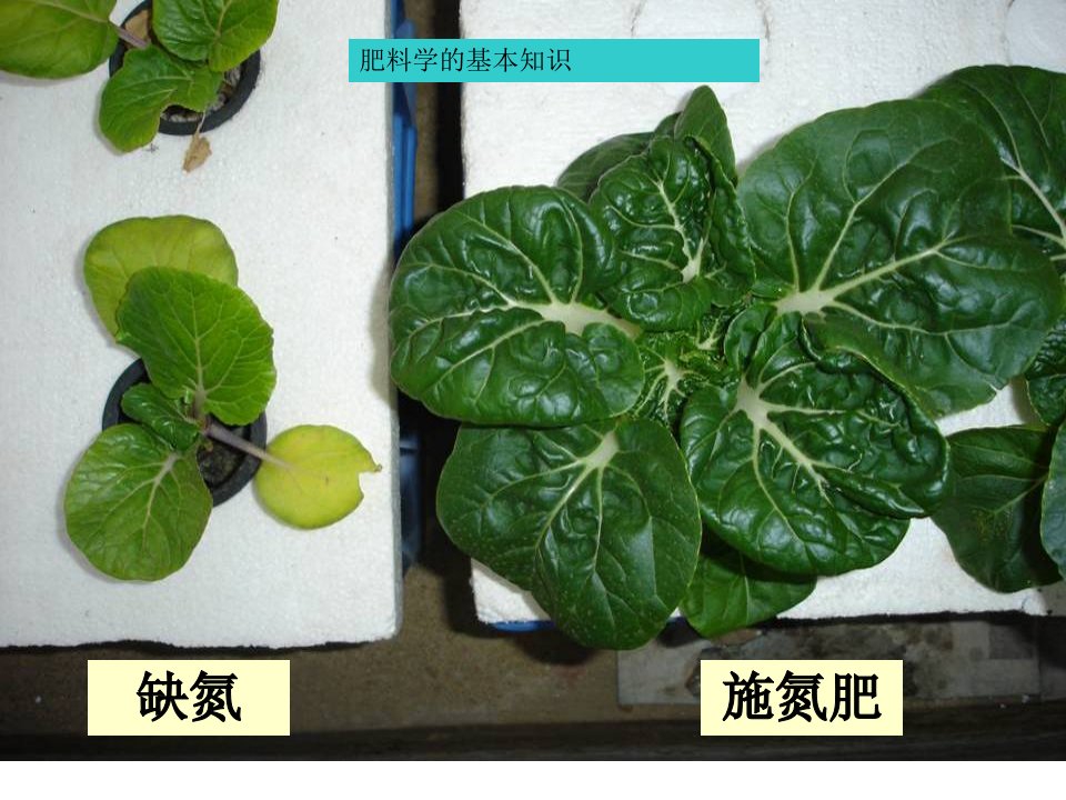 肥料学的基本知识(讲)-张承林