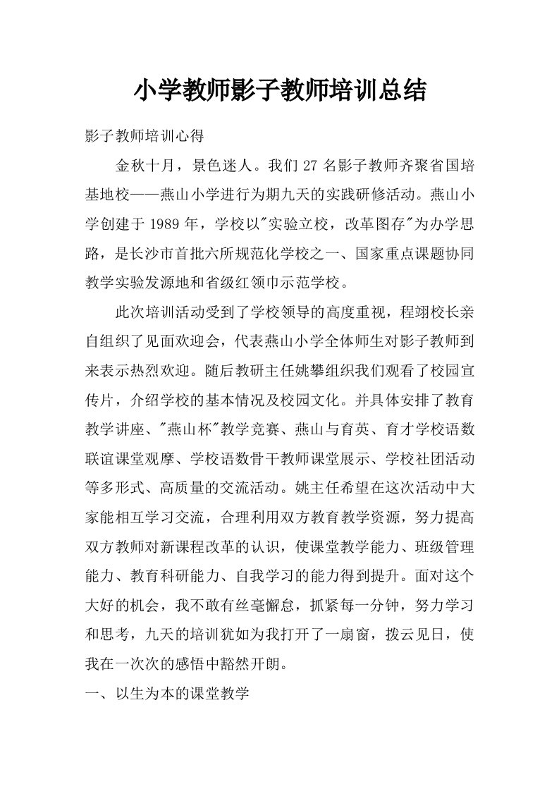 小学教师影子教师培训总结