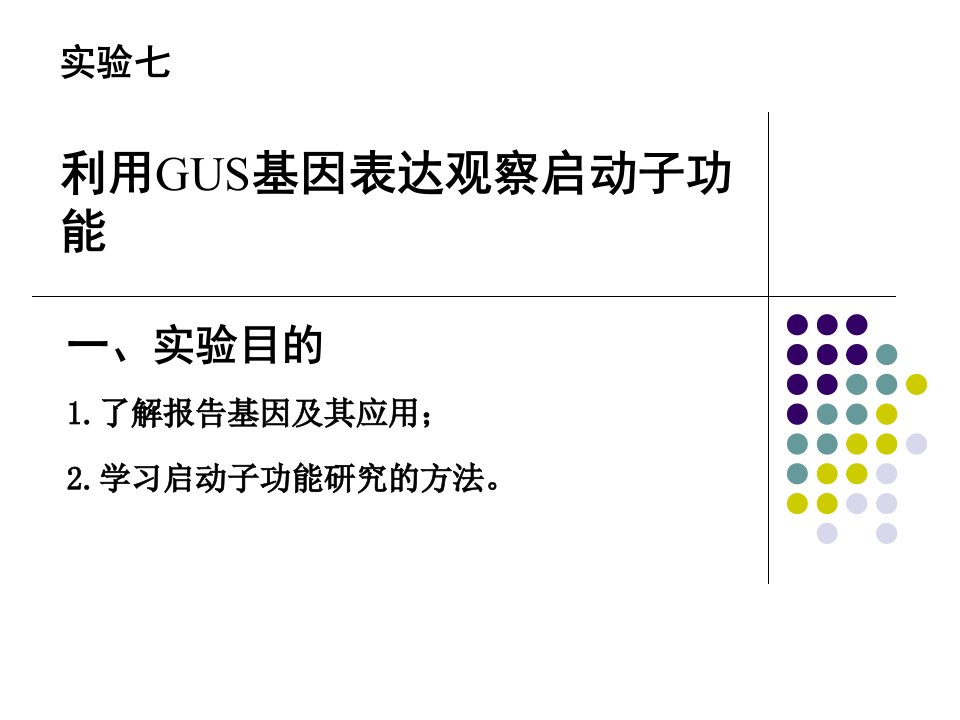 利用GUS基因表达观察启动子功能