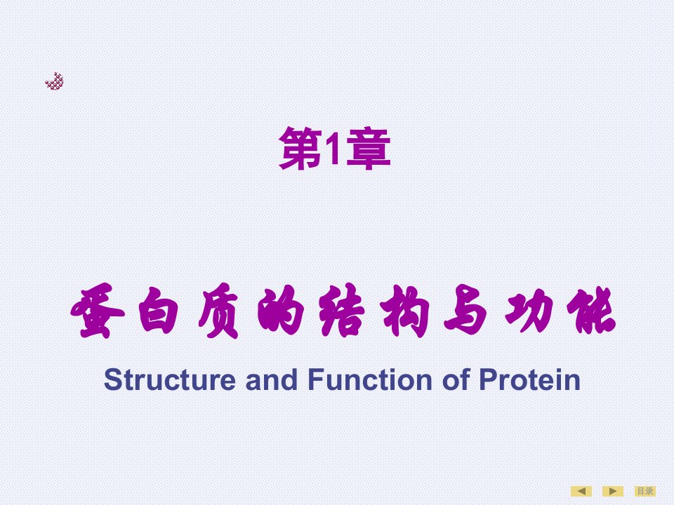 蛋白质的结构与功能