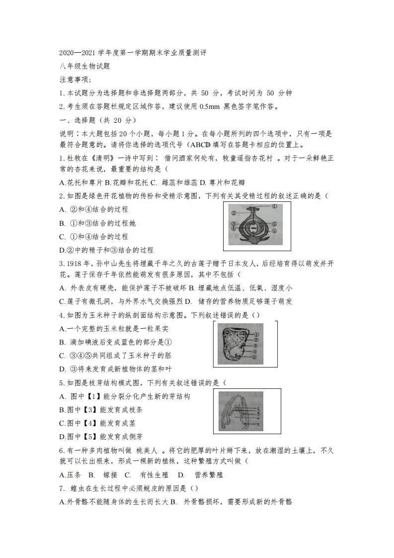 山东省菏泽市成武县2020-2021学年八年级上学期期末学业质量测评生物试题(word