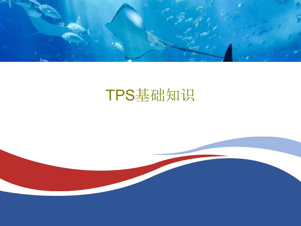 TPS基础知识PPT共34页