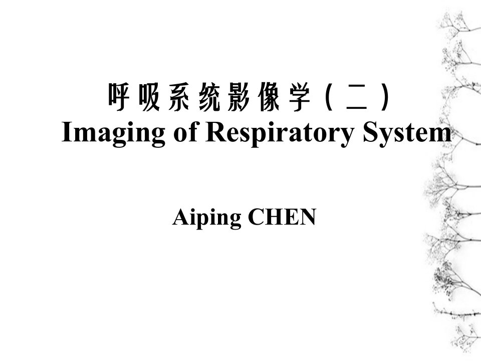 呼吸系统影像学二基本病变