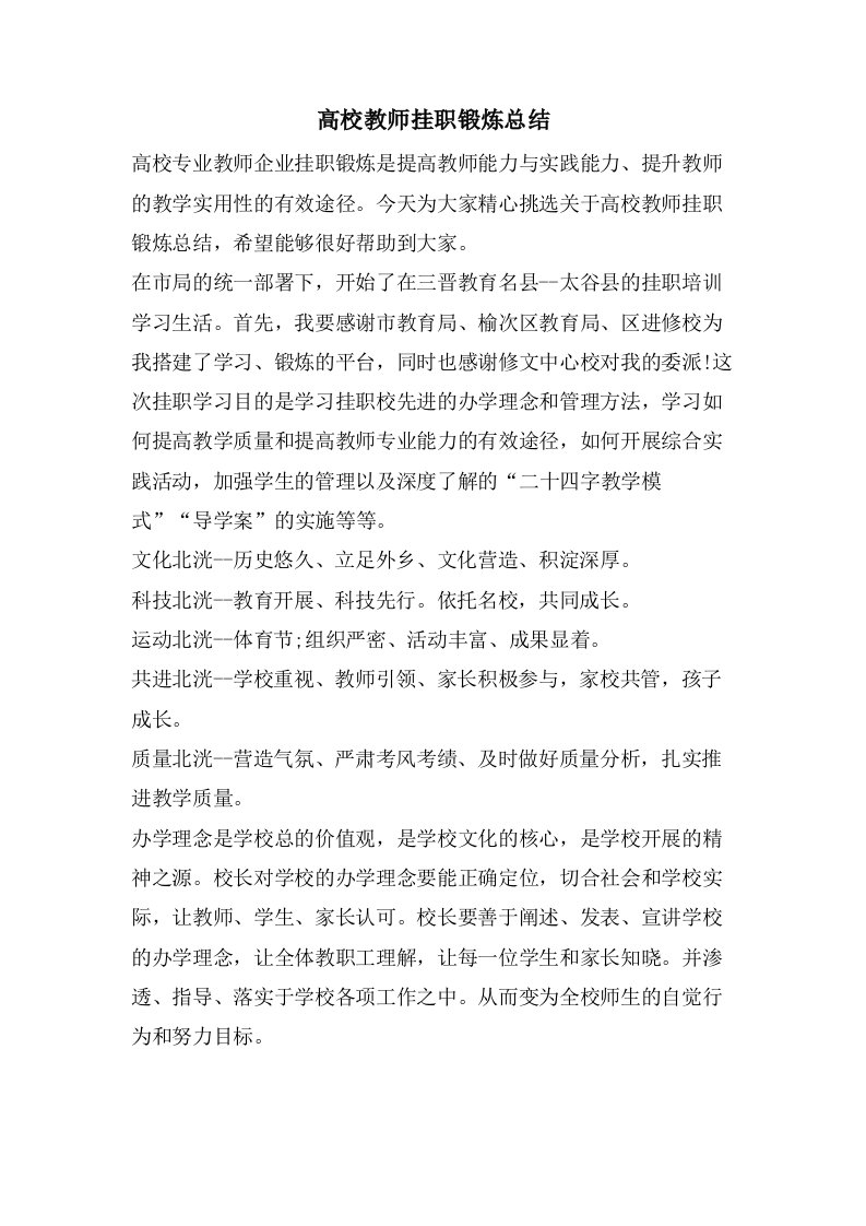 高校教师挂职锻炼总结