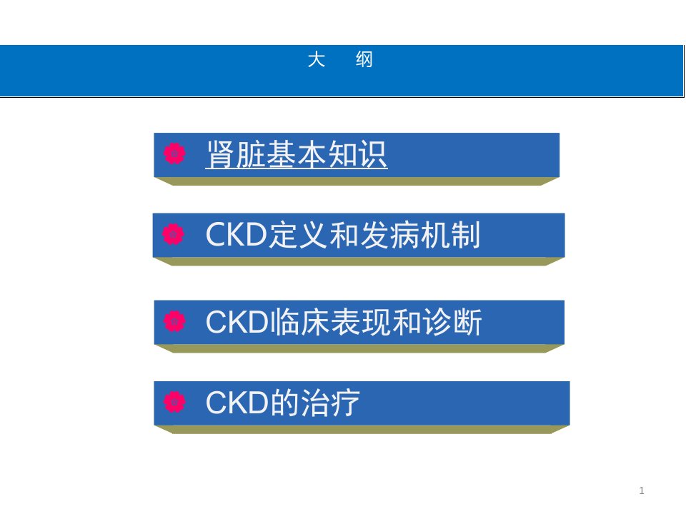 慢性肾脏病医学知识培训PPT课件