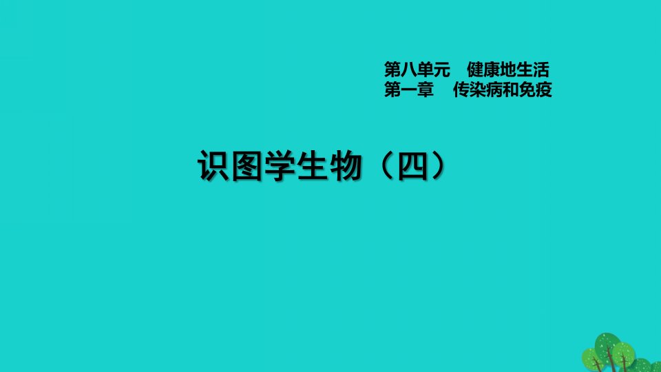 2022八年级生物下册第八单元降地生活识图学生物四习题课件新版新人教版