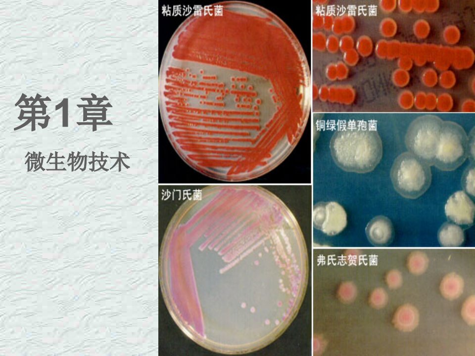 培养基对微生物的选择作用