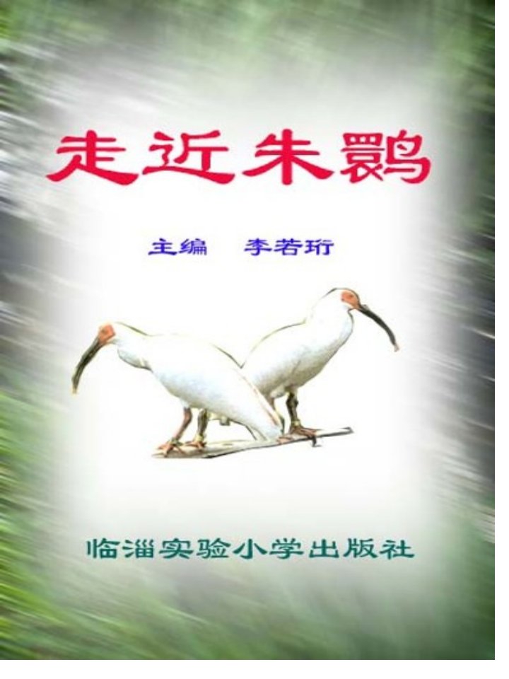 北师大版小学四年级下册语文《朱鹮飞回来了》PPT省公开课获奖课件市赛课比赛一等奖课件