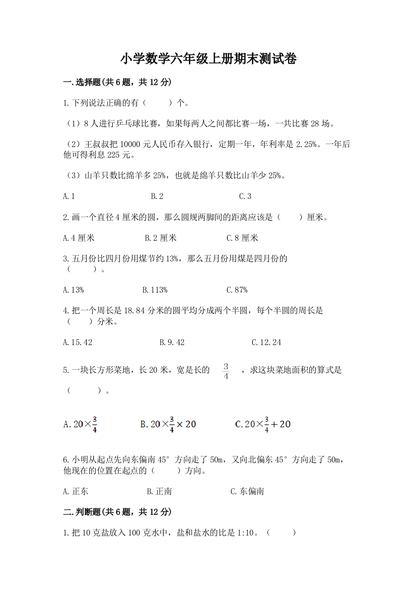 小学数学六年级上册期末测试卷精品（巩固）