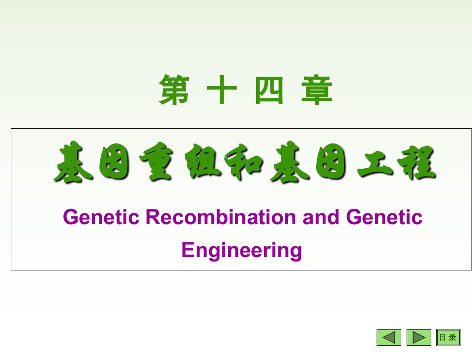 沈阳药科大学生物化学课件-第14章基因工程