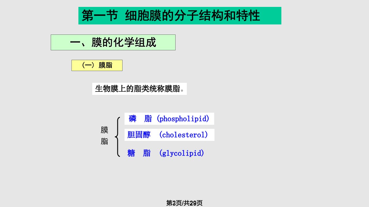 细胞膜及其表面1