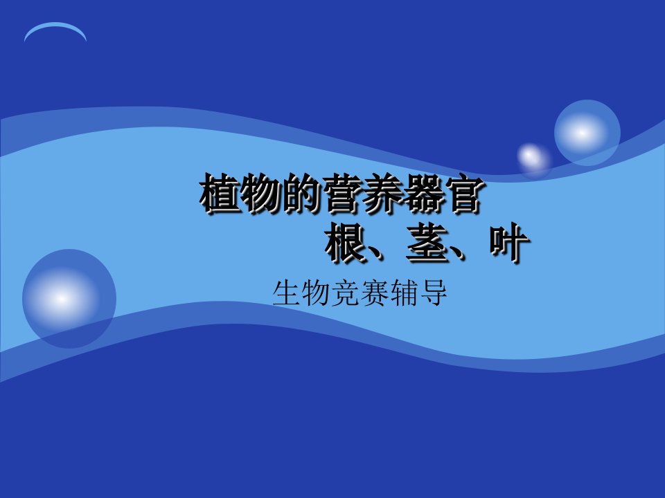 植物生物学植物的营养器官根茎叶共115张