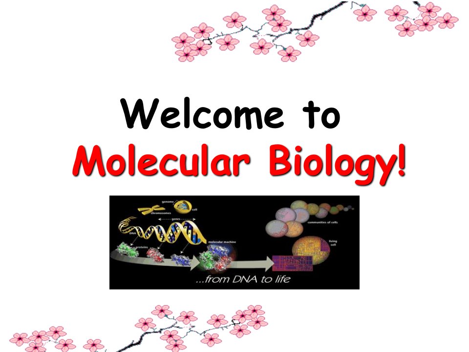 分子生物学绪论研究生