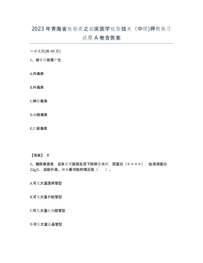 2023年青海省检验类之临床医学检验技术中级押题练习试题A卷含答案