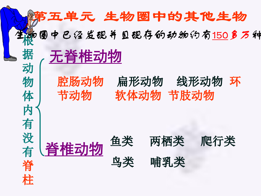 生物圈中的其他生物复习ppt课件