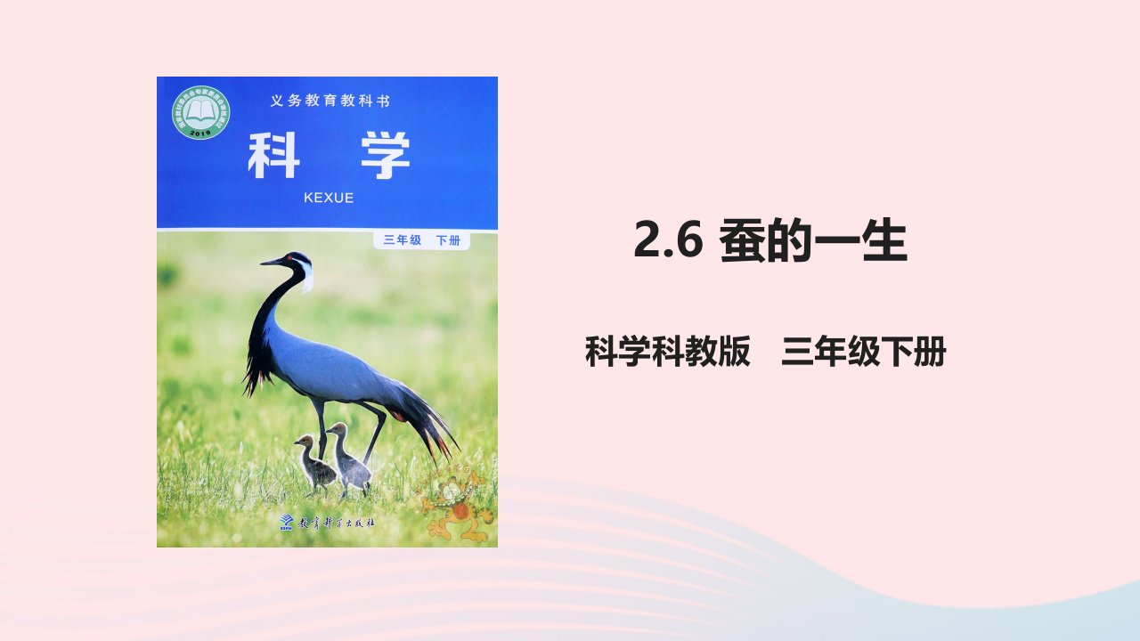 2023三年级科学下册动物的一生2.6蚕的一生教学课件教科版