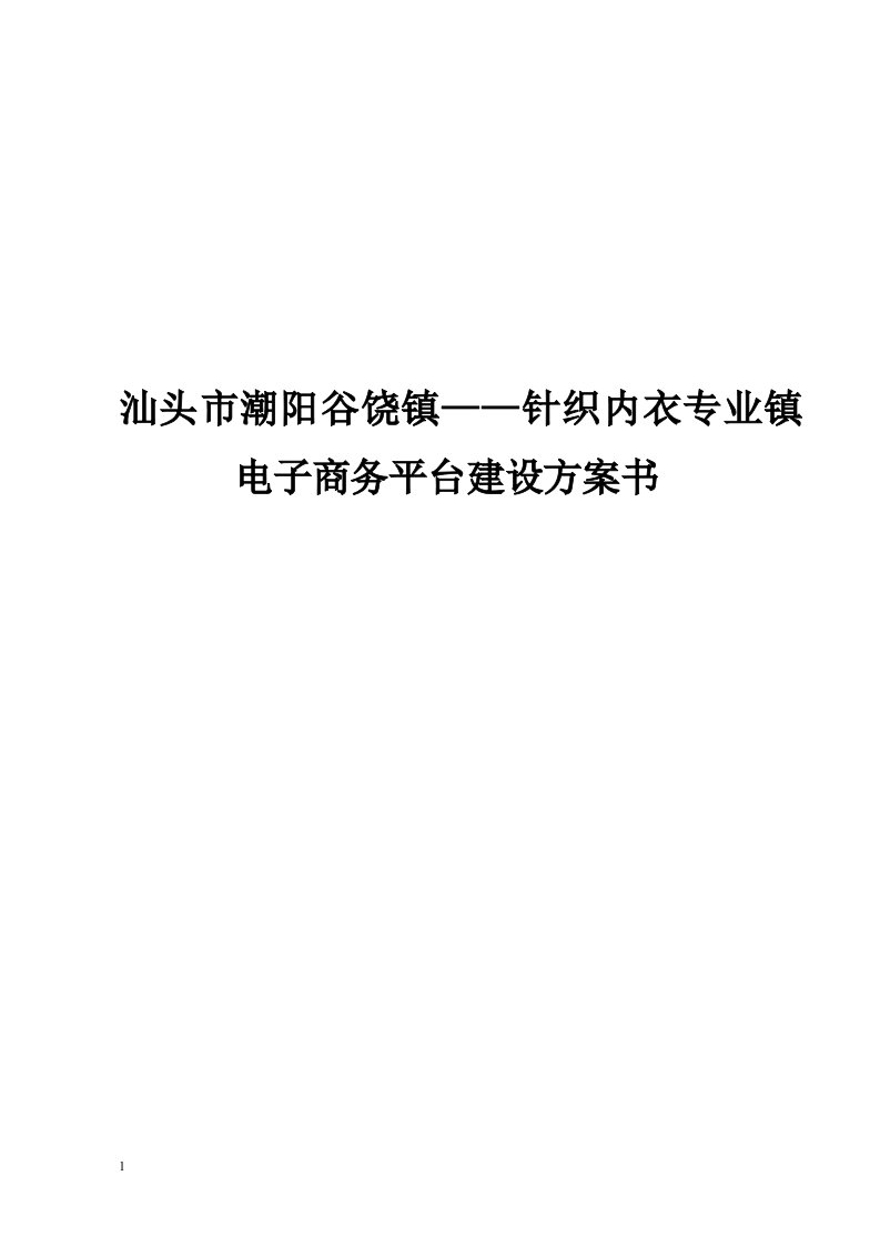 针织内衣专业镇电子商务平台建设方案书