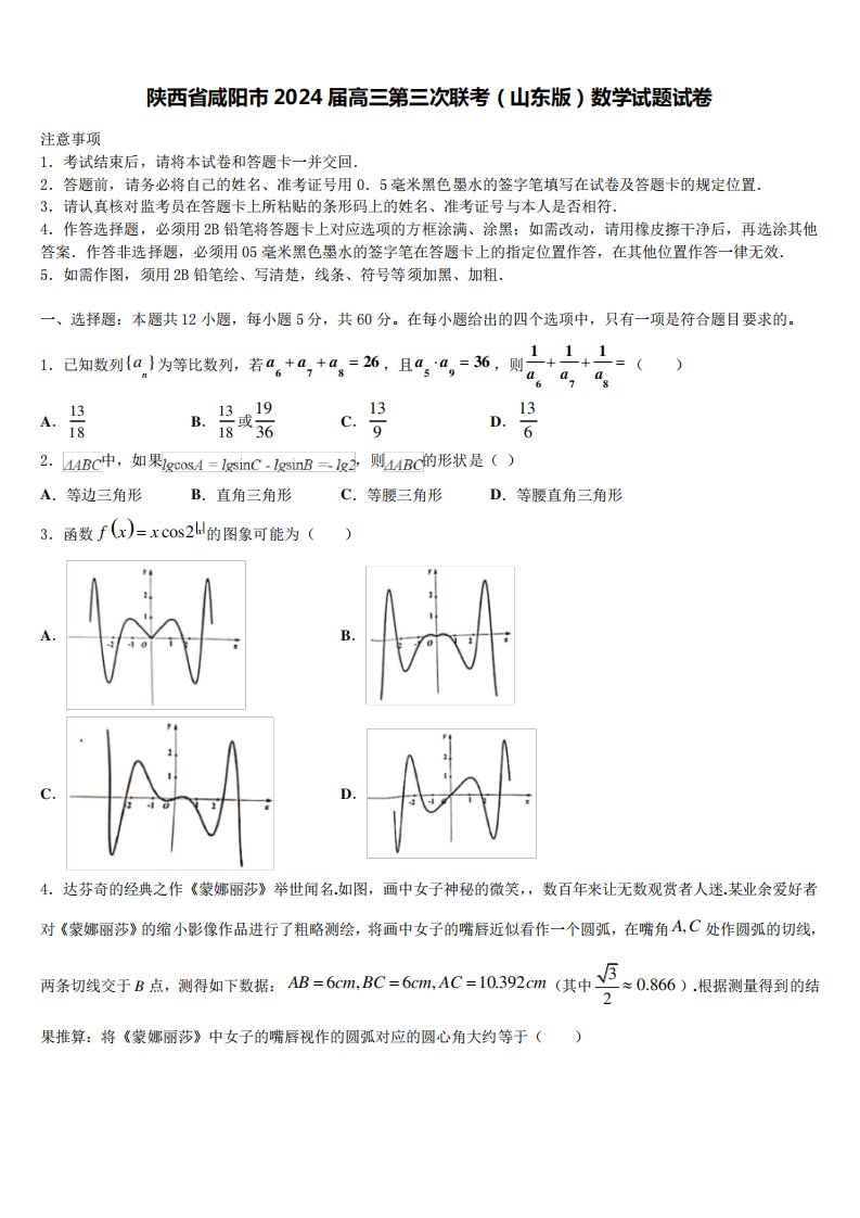 陕西省咸阳市2024届高三第三次联考(山东版)数学试题试卷