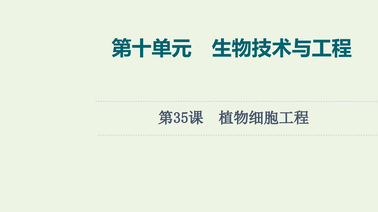 2022版新教材高考生物一轮复习第10单元生物技术与工程第35课植物细胞工程课件新人教版