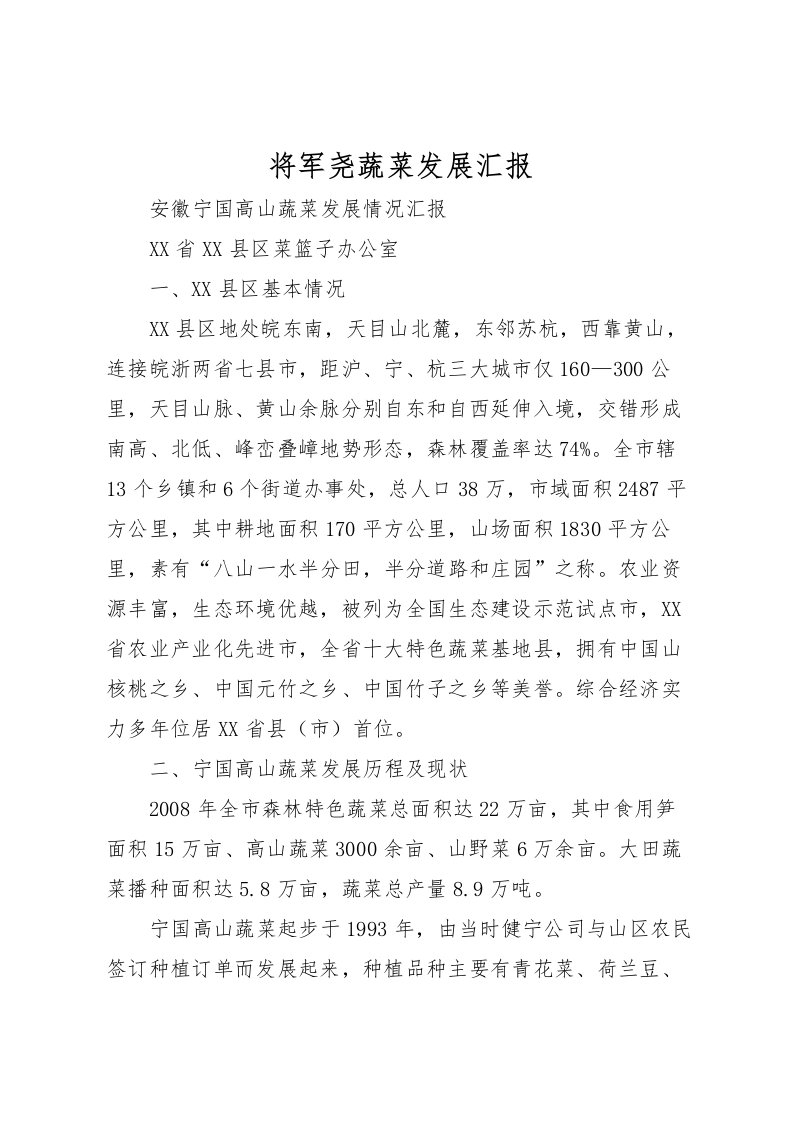 2022将军尧蔬菜发展汇报