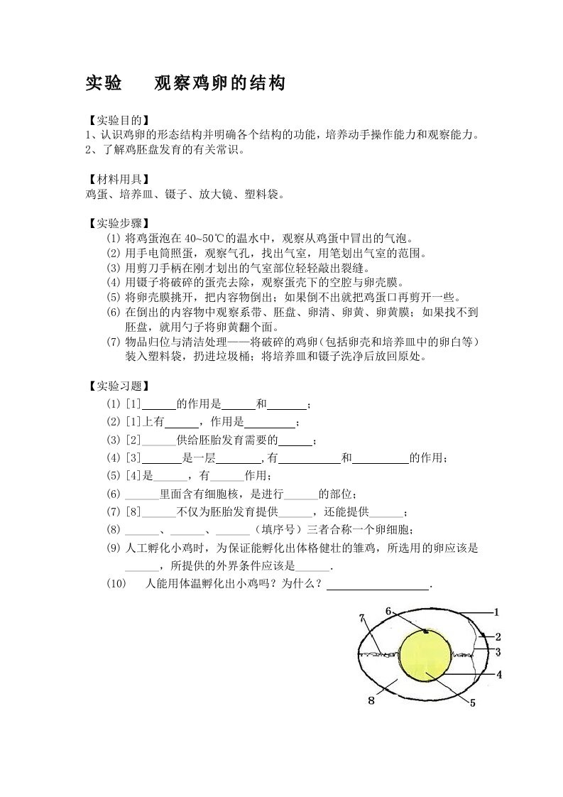 观察鸡卵的结构实验报告(改)