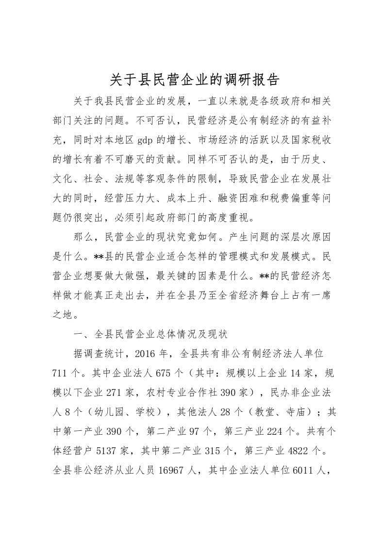 2022关于县民营企业的调研报告