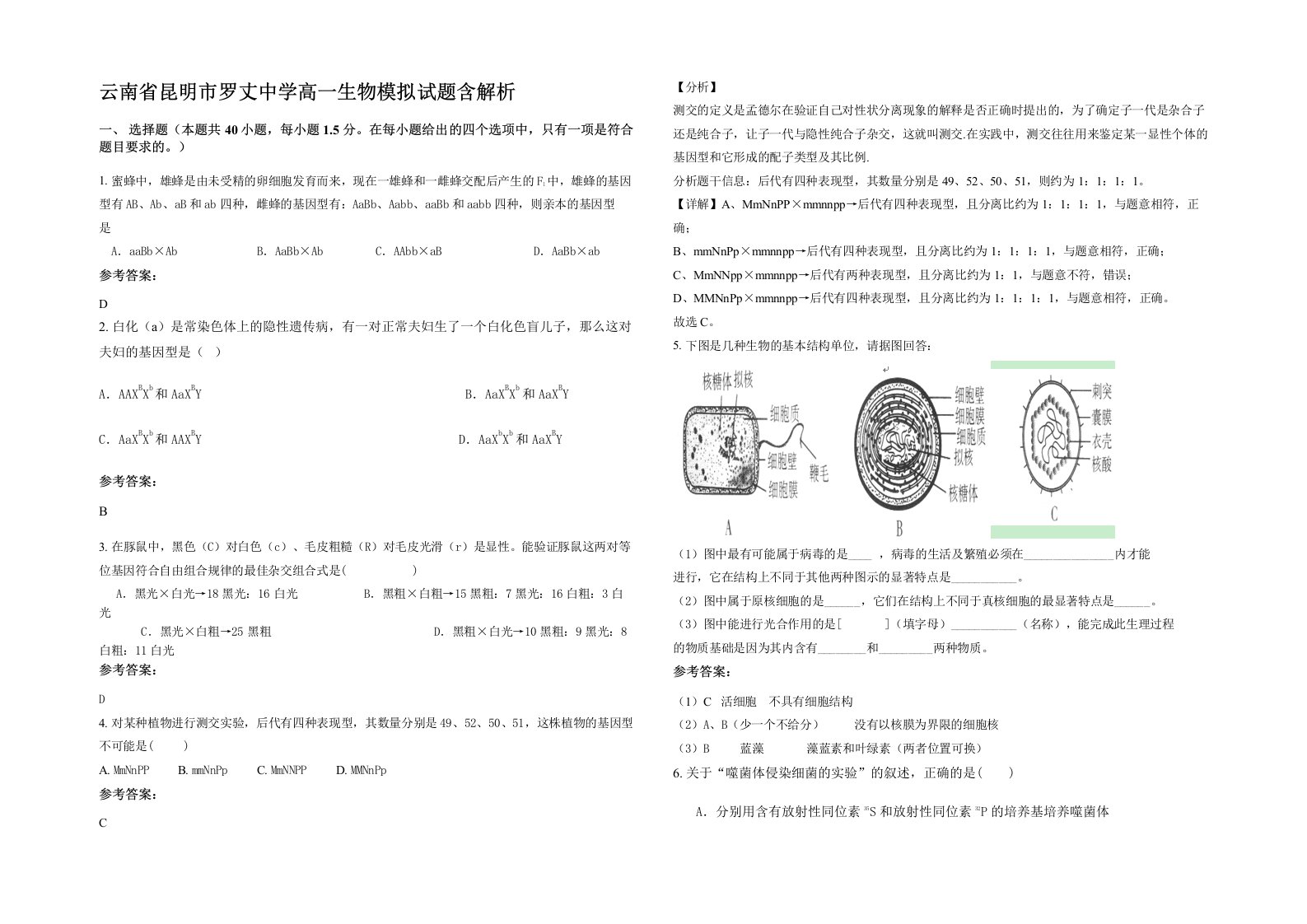 云南省昆明市罗丈中学高一生物模拟试题含解析