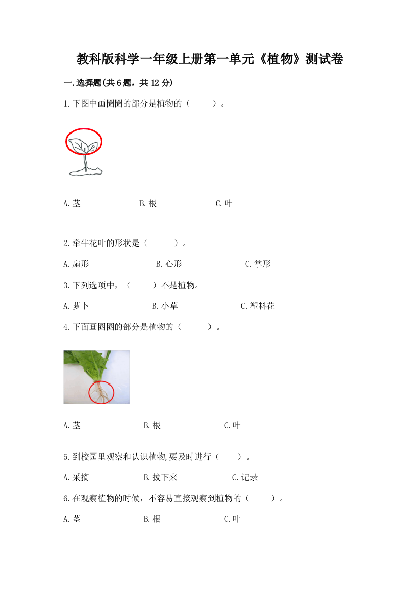 教科版科学一年级上册第一单元《植物》测试卷（综合卷）