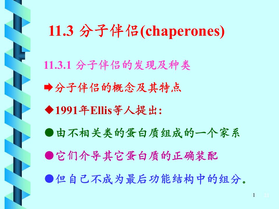 细胞生物学中文课件9B分子伴侣