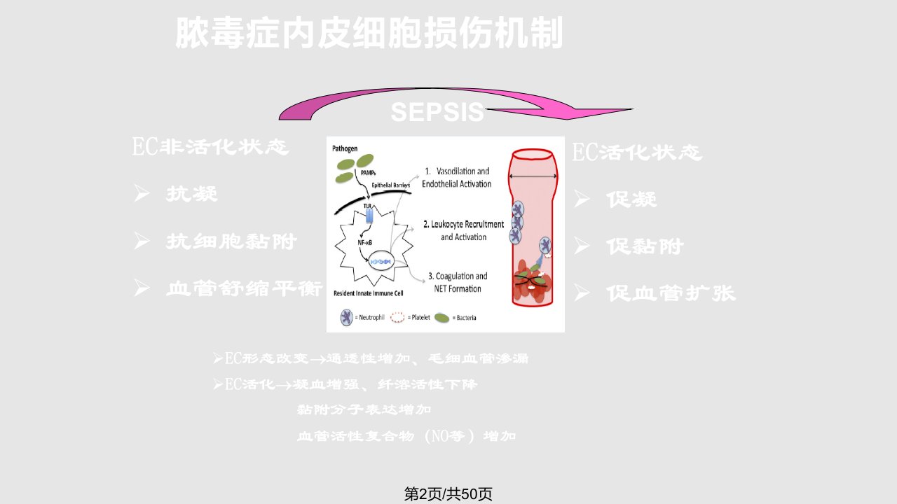 脓毒性休克的早期识别和治疗