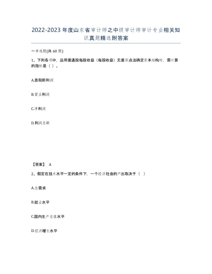 2022-2023年度山东省审计师之中级审计师审计专业相关知识真题附答案